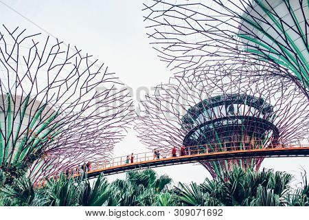 SINGAPORE, SINGAPORE - MARCH 2019: Supertree Grove & OCBC Skyway at Garden by the Bay