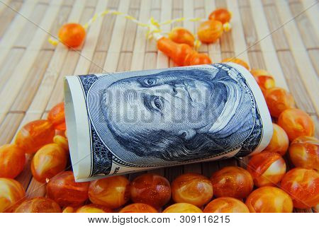 Close Up Currency Of The United States Of America