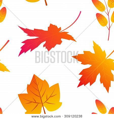 Seamless Pattern With Colorful Maple Leaves In Flat Style. Vector Illustration On White Background