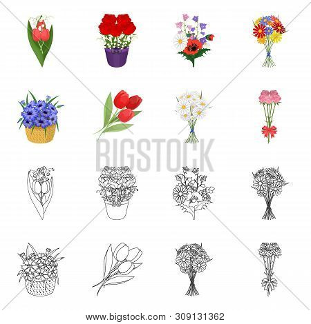 Vector Design Of Spring And Wreath Icon. Collection Of Spring And Blossom Vector Icon For Stock.