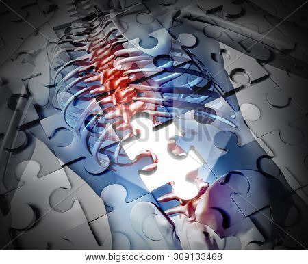 Physiotherapy And Bach Ache Pain Rehabilitation As A Physical Therapy Treatment Concept In A 3d Illu