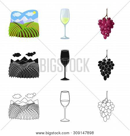 Vector Illustration Of Farm And Vineyard Icon. Set Of Farm And Product Vector Icon For Stock.