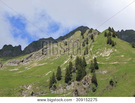 Landscape Seen From The Brienzer Rothorn Steam Train, Switzerland.
