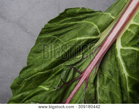 Creative Layout Made Of Mangold. Flat Lay. Food Concept. Mangold On The Concrete Background. Cellulo