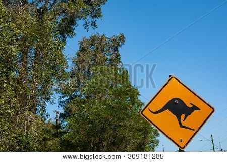 Animal Warning Sign Of Kangaroo In Queensland, Australia