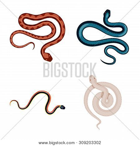 Vector Illustration Of Poison And Evil Sign. Set Of Poison And Bite Vector Icon For Stock.