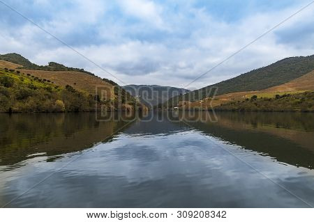 Scenic View Of The Douro River And Valley With Terraced Vineyards, In Portugal; Concept For Travel I