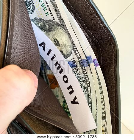 Payment Alimony. Purse With Dollarrs And Card Alimony.
