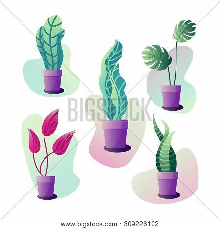 Vector Illustration Of Abstract Flowers In Pots In Pastel Colours. Set Of Five Plants.
