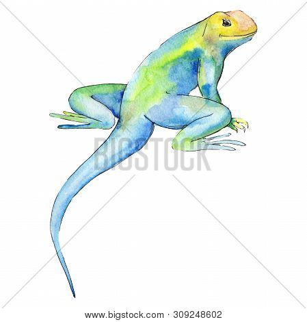 Exotic Animal Wild Animal In A Watercolor Style. Background Illustration Set. Isolated Reptilia Illu