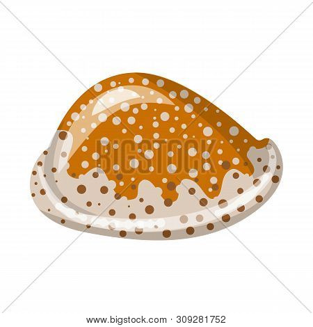 Isolated Object Of Seashell And Mollusk Icon. Collection Of Seashell And Seafood Stock Vector Illust