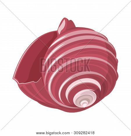 Isolated Object Of Seashell And Mollusk Icon. Collection Of Seashell And Seafood Vector Icon For Sto