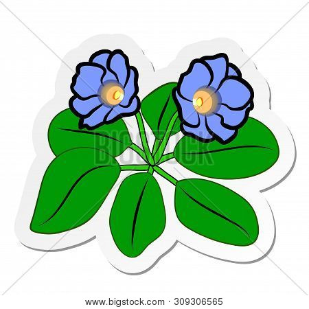 Vector Illustration, Sticker Of Blue Gloxinia Flower On Stem With Leafs In Flat Cartoon Style Isolat