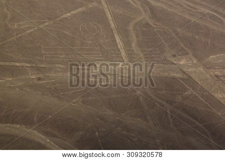 Aerial Airplane Panoramic View To Nazca Geoglyph Lines Aka Parrot , Ica Region, Peru