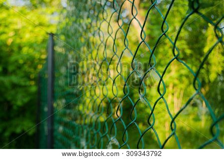 Close Up Of Metal Chain-link In The Garden. Diamond Mesh Wire Fence On Blurred Green Background. Iro