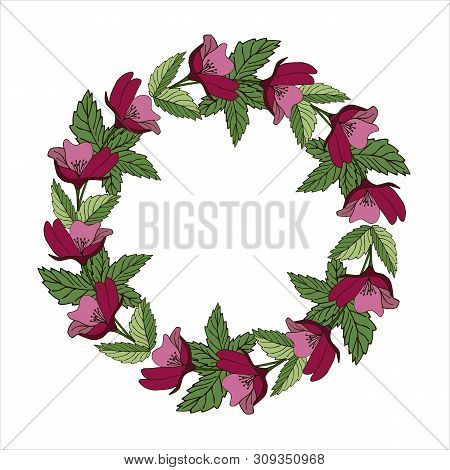 Vintage Vector Frame With Summer Flowers. Flower Wreath For Beautiful Design. Invitation Card With F
