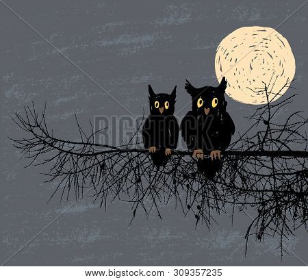 Vector Illustration Of Two Owls Sitting On A Fir Branch On Moonlit Halloween Night