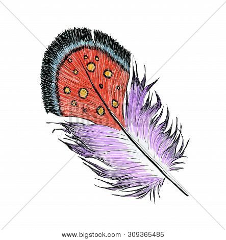 Hand Drawing Feather Soft And Fluffy Watercolor