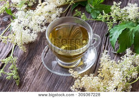 A Cup Of Herbal Tea With Fresh Meadowsweet Flowers - A Natural Alternative To Aspirin