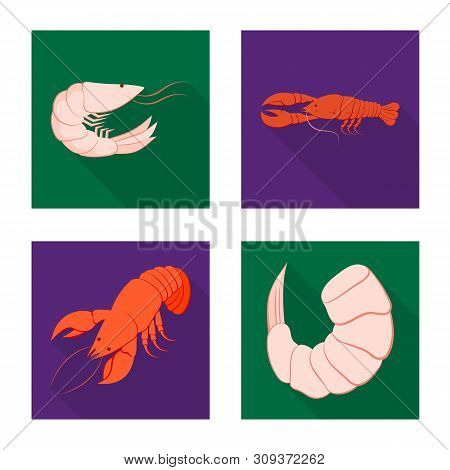 Vector Illustration Of Appetizer And Seafood Icon. Set Of Appetizer And Ocean Stock Vector Illustrat