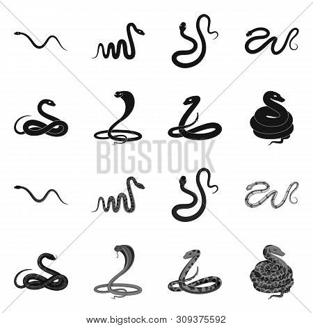 Vector Design Of Mammal And Danger Logo. Collection Of Mammal And Medicine Stock Vector Illustration