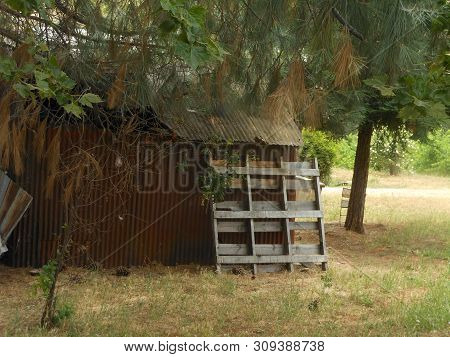 Barn At Drytown Winery With Pallet And Shaded By Trees In Summer