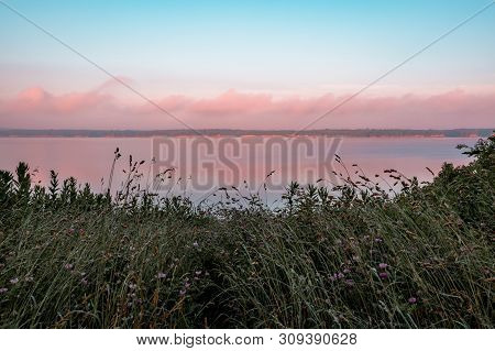 Reflection Of Pink Clouds On A Lake Framed With Reed Canary Grass And Red Clover. Saylorville Lake, 