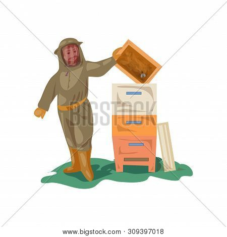 Beekeeper In Clothes Equipment Takes Wood Honey Frame