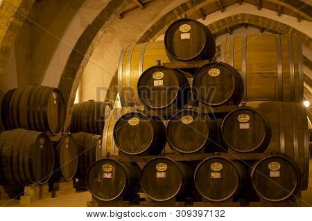 Vintage Wine Cellar With Old Oak Barrels, Production Of Fortified Dry Or Sweet Marsala Wine In Marsa