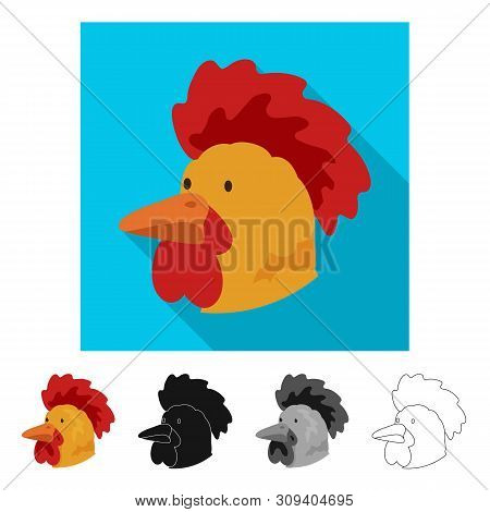 Vector Illustration Of Cock And Face Logo. Collection Of Cock And Husbandry Stock Symbol For Web.