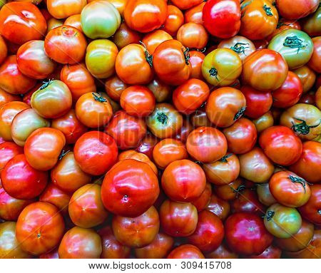 Small Red Cherry Round Tomatoes After Harvest Before Being Taken Into Delivery Proccess. Solanum Lyc