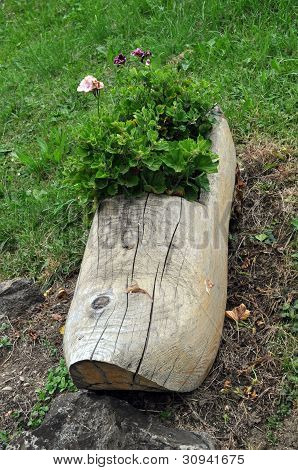 Intasare il vaso di fiori