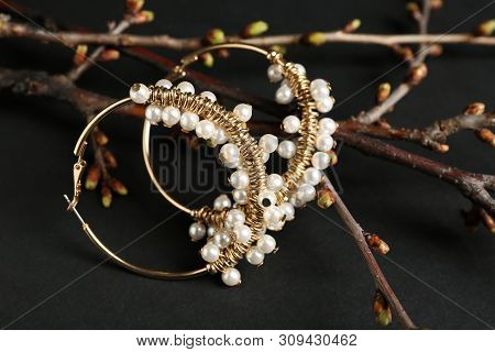 Branches With Beautiful Earrings On Black Background. Luxury Jewelry