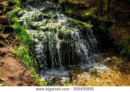 Beautiful Forest Stream, Small Waterfall. Forest Stream 