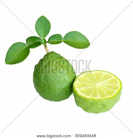Fresh Bergamot And Bergamot Leaves Isolated On White Background.