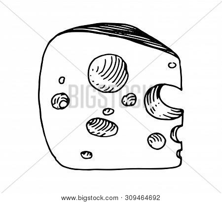 Сheese With Big Holes. Vintage Graphics For Menu, Labels, Packaging Design, Restaurants And Catering
