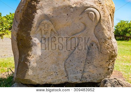 Petroglyph Near Rano Kau Volcano On Easter Island Or Rapa Nui In Chile