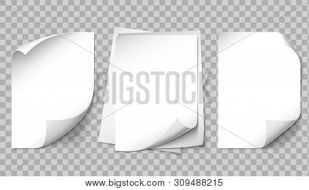 White Paper Page. Writing Pages, A4 Sheet Curled Corner And Turn Papers Sheets 3d Template. Parchmen