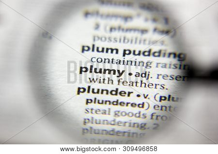 The Word Or Phrase Plumy In A Dictionary