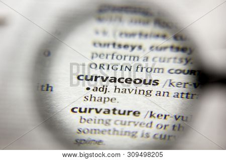 The Word Or Phrase Curvaceous In A Dictionary