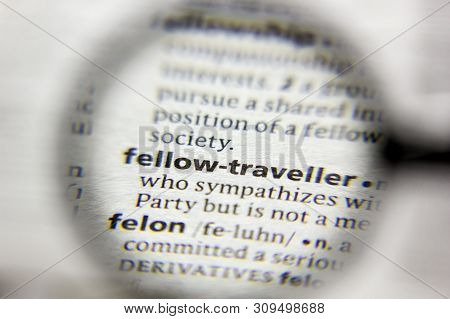 The Word Or Phrase Fellow-traveller In A Dictionary