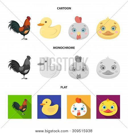 Vector Design Of Funny And Poultry Icon. Set Of Funny And Farming Vector Icon For Stock.