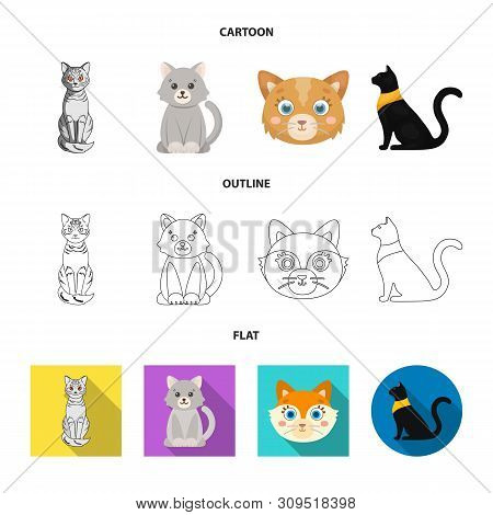 Vector Design Of Pet And Sphynx Icon. Set Of Pet And Fun Vector Icon For Stock.