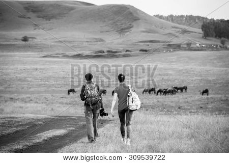 Two Young Girls With Backpacks And Photo Camera On Rural Road. Horse Farm Pasture With Mare And Foal