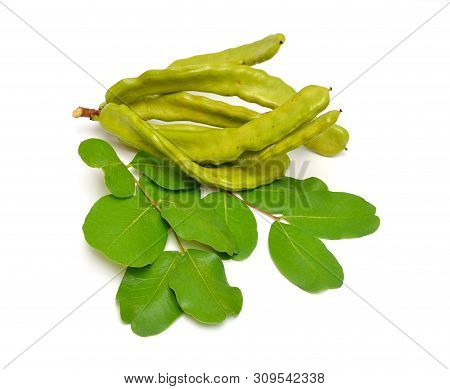 Green Carob Pods With Leaves. Isolated On White Background