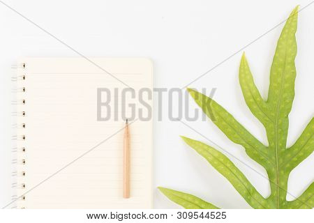 Blank Notebook,pencil And Wart Fern Leaf On White Background