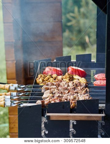 Marinated Barbecue Shashlik Kebab With Curry Winglets And Roasted Pepper And Tomatoes In Chargrill S