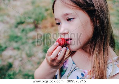 Girl Eating Strawberry. Child Face Closeup. Healthy, Organic Food. Fresh Ripe Berry. Summertime, Spr