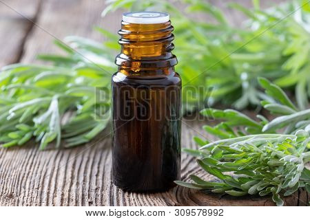 A Dark Bottle Of Wormwood Essential Oil With Fresh Artemisia Absinthium Plant