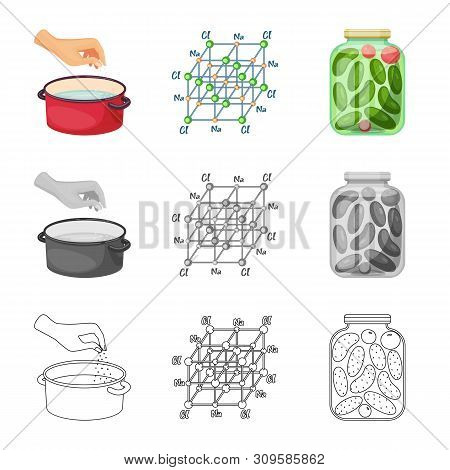 Vector Design Of Cooking And Sea Icon. Set Of Cooking And Baking Vector Icon For Stock.